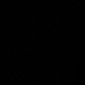 Meet your Posher, Tony